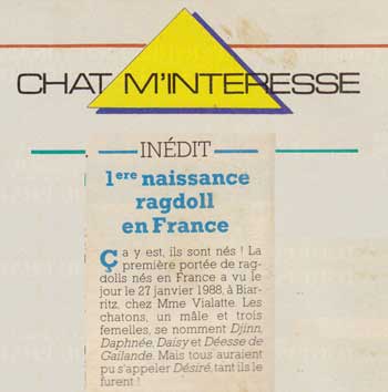 Article Atout Chat mrs 1988