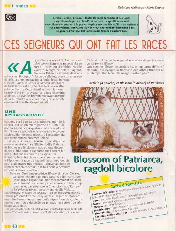 Article Atout Chat avril 2005